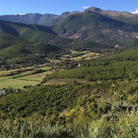 Belle Villa A Misincu- A Deux Pas De La Plage Cagnano Exterior foto